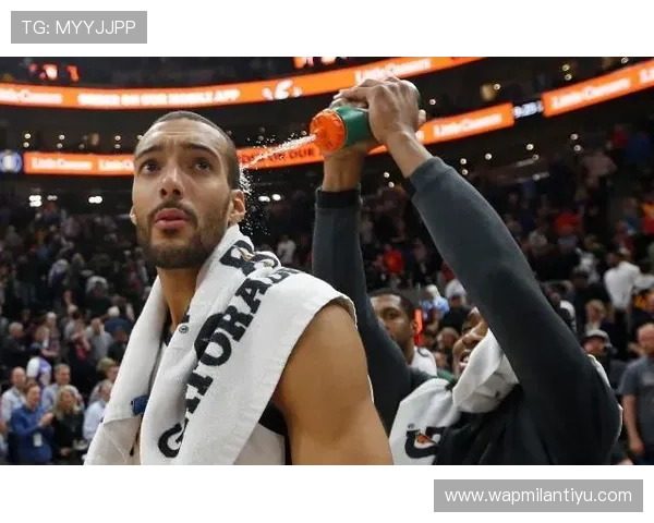 深入探讨米兰体育app的用户评价，看看大家为什么这么喜欢