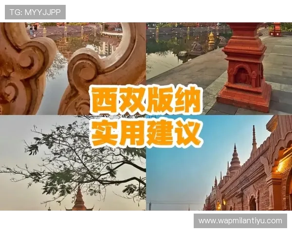 米兰app官方正版官网使用技巧与优化体验的实用建议